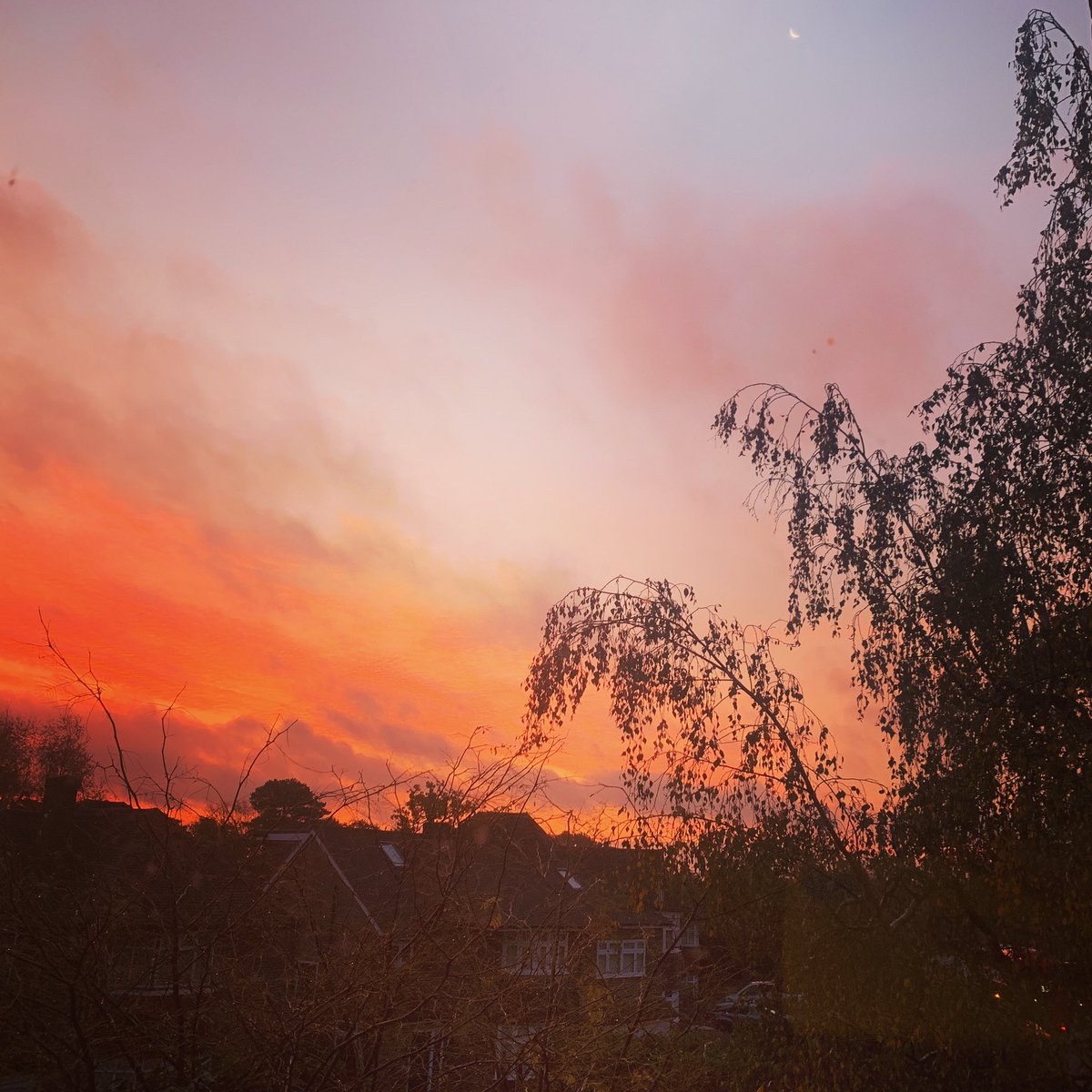 dawncruttenden's tweet photo. Morning all. My 7am view from the loo. Youโre welcome!! #viewfromtheloo https://t.co/JZhA654hZo