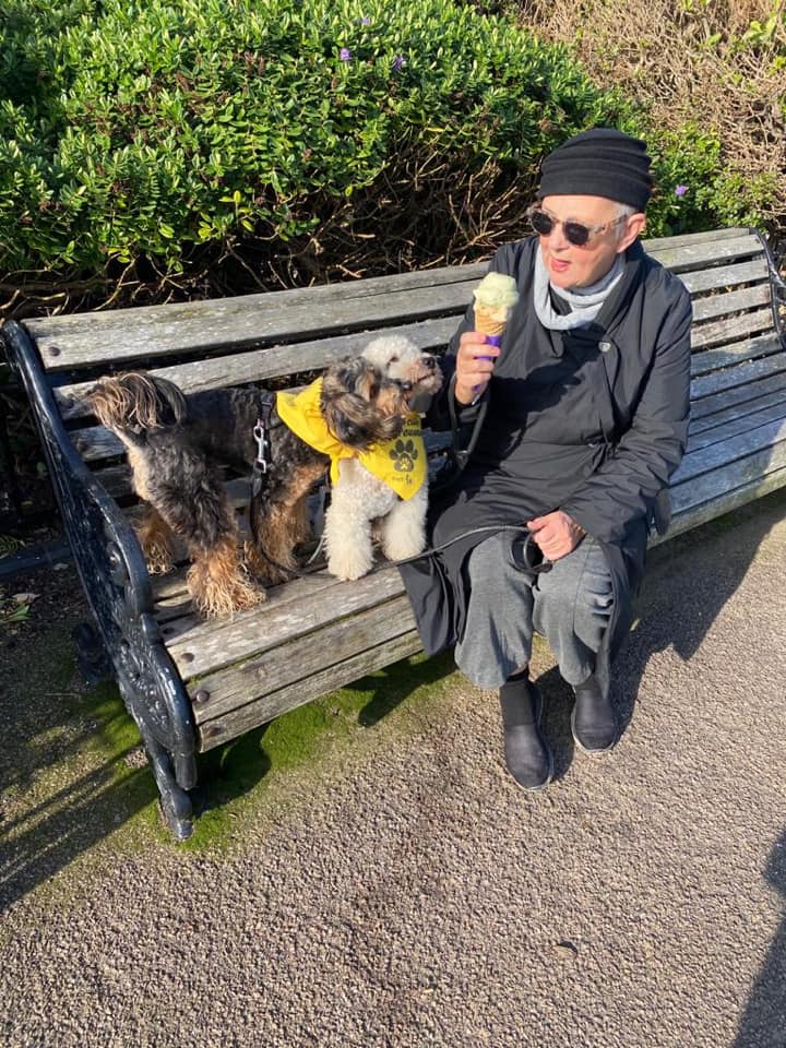 CCFCheetahUK's tweet photo. Meet Sid the #poochon & Stan #yorkiepoo these two likely lads & their girlfriend Poppy #labradoodle love a #beach trip especially when there's🍦! Donate to #pawsforclaws to livestock #dog programme which saves #cheetahs by reducing human-wildlife conflict https://t.co/ML0rVG0GIf https://t.co/cm5P5s6vUy