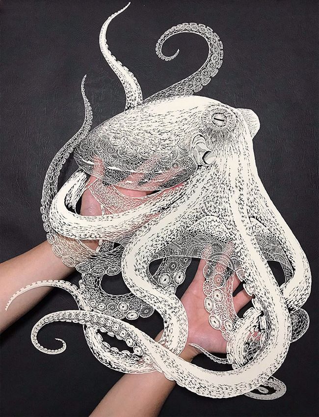 womensart1's tweet photo. Masayo Fukuda, contemporary master of kirie, or Japanese paper-cutting, crafting hyper detailed creatures from single sheets of paper, an art that has been around since 700 AD #womensart https://t.co/g8z1rXnLe5