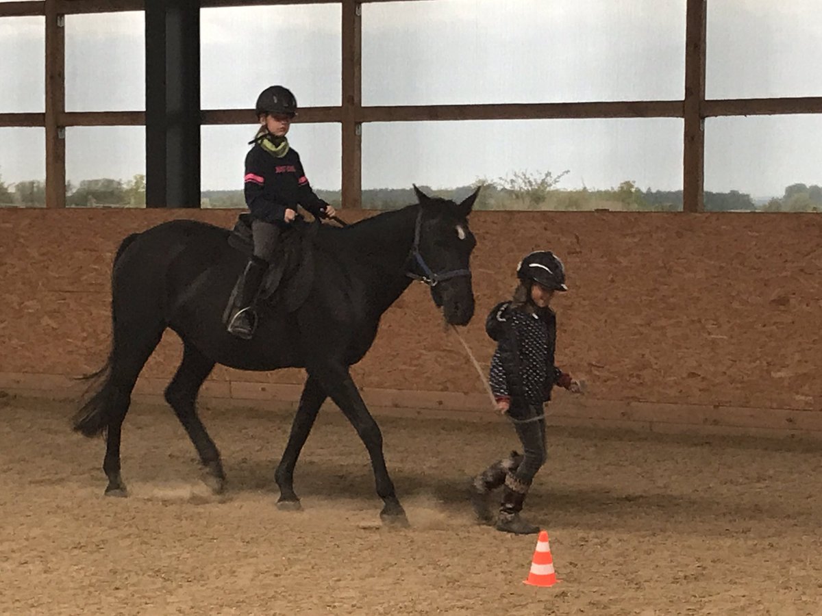 RVarchow's tweet photo. Trainingstage im Oktober 2020
#training #kids #mitspaßlernen #reiten #pferde #horse #learning #withfun https://t.co/kC7tE0FEq6