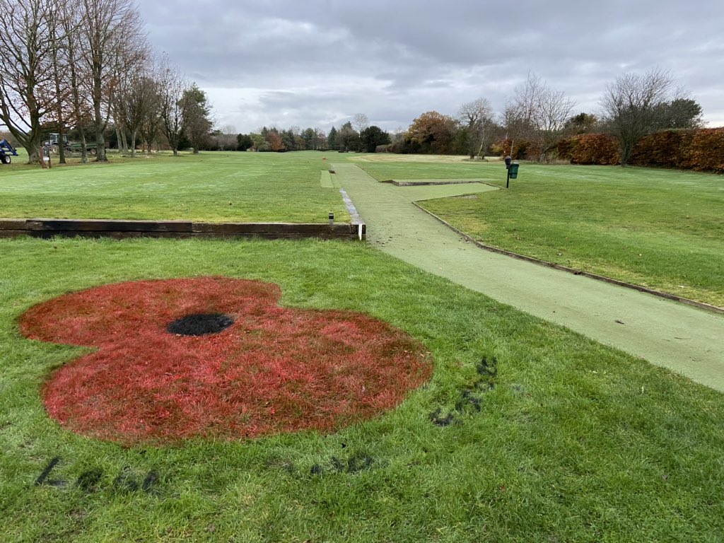 iestyn carpenter tweet media