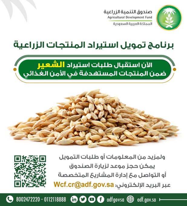الصورة