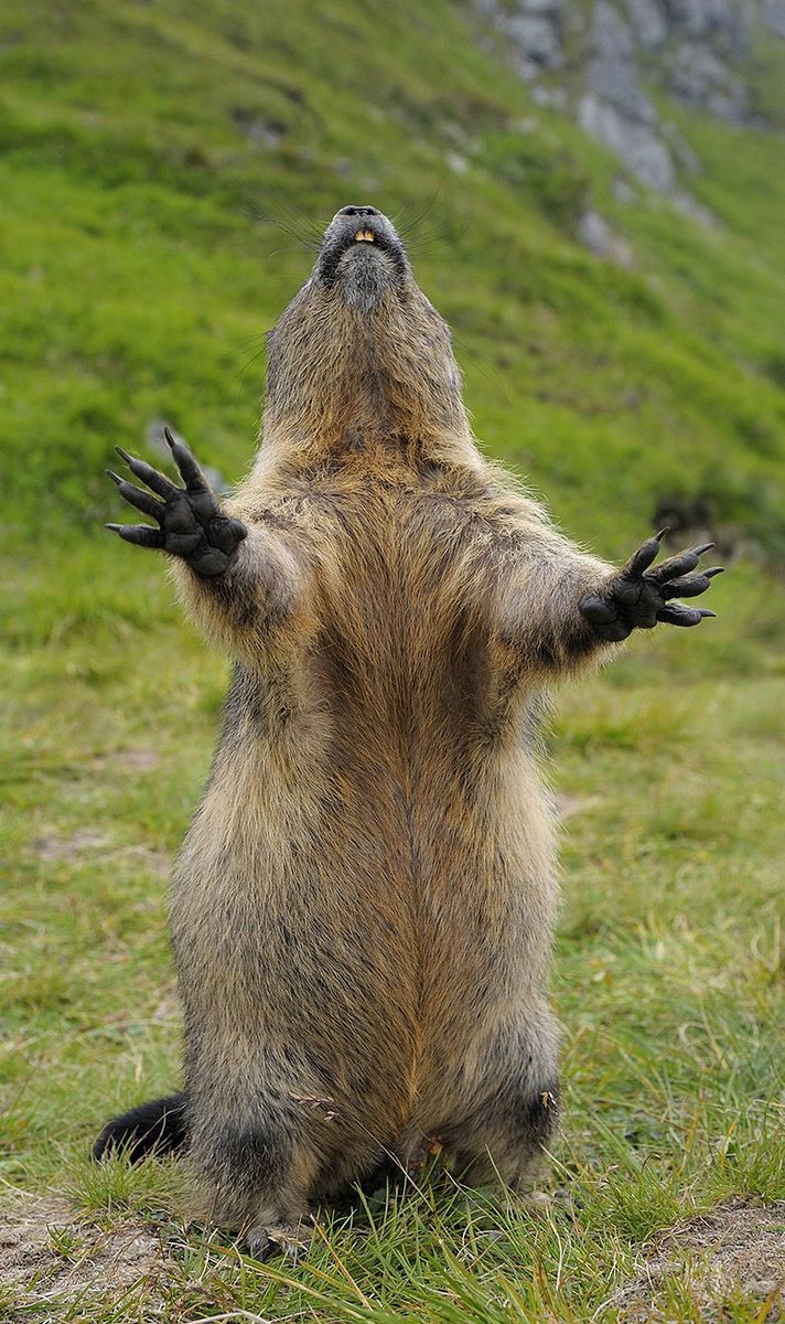 Telly💫 tweet media