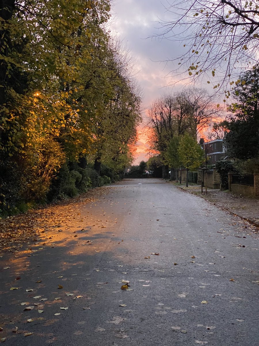 SarahJGP's tweet image. #sparrowfart #towpathexercise #redskyinthemorning