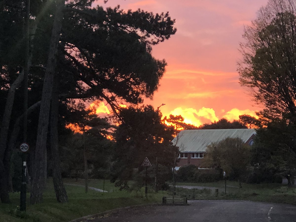 MrsKerryBrown's tweet photo. Run Every Day in November for:

https://t.co/Y7Oapitwm1

Day 11!!! 

Tis a beautiful day out there today - hope you all have a wonderful one!

#YouWinWednesday #Red11

@ginny_walker https://t.co/YELEoGGBRt