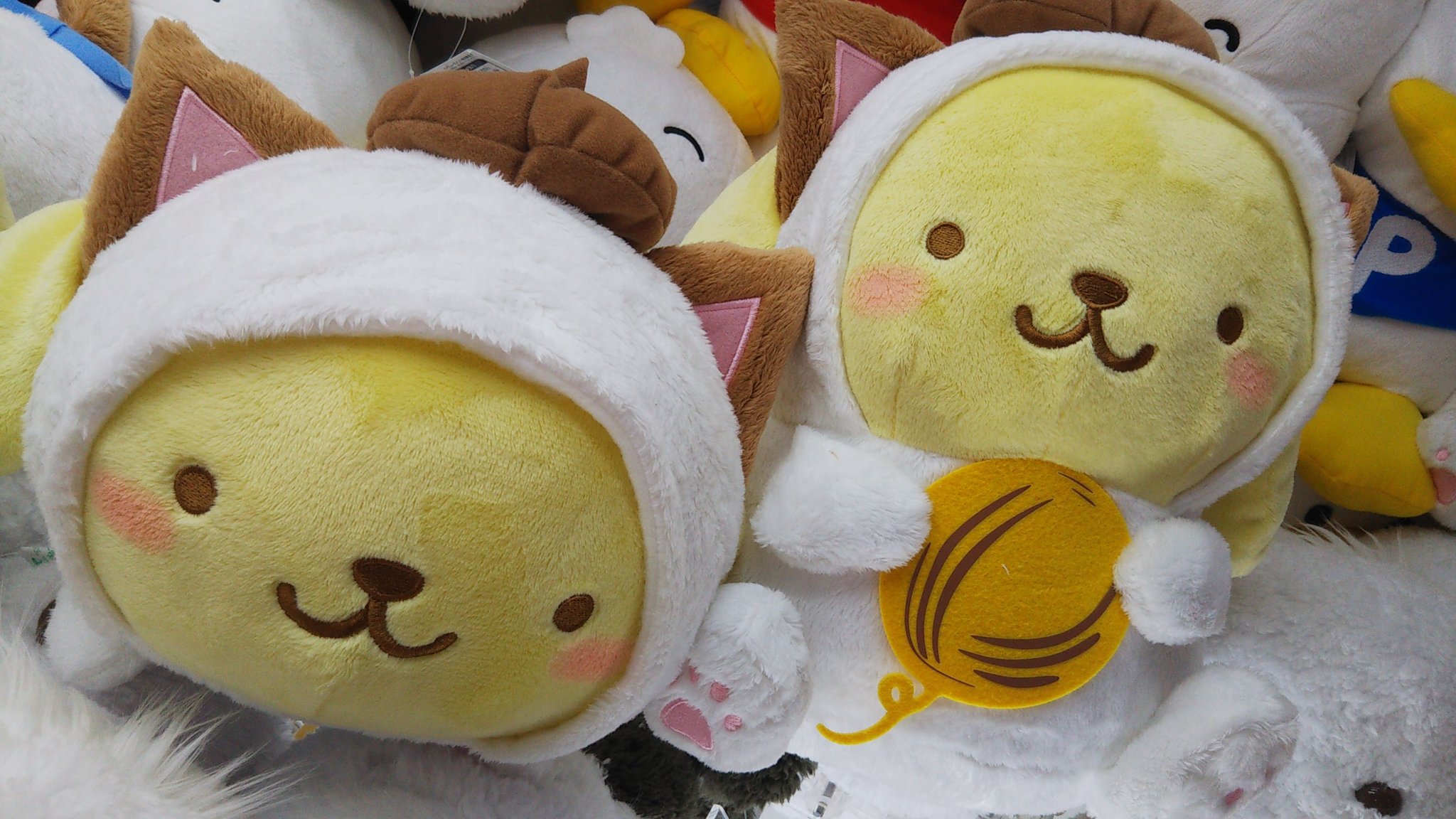 ソユーゲームフィールド天童店 景品情報 ポムポムプリンなかよしこねこねこbigぬいぐるみ ポムポムプリン 入荷致しました u ᴥ かわいいこねこねこシリーズ 毛糸を持ってます ご来店お待ちしております ソユー 山形 天童 イモ ソユーゲームフィールド天童店 景品情報 ポムポムプリンなかよしこねこねこbigぬいぐるみ ポムポムプリン 入荷致しました u ᴥ かわいいこねこねこシリーズ 毛糸を持ってます ご来店お待ちしております ソユー 山形 天童 イモ