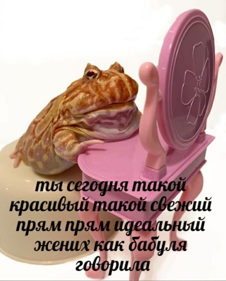 EmhzSldWEAAIiSx?format=jpg&name=medium