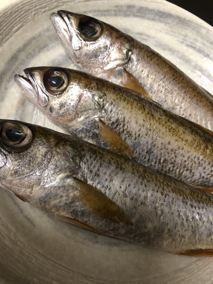旬の野菜と海の幸 さかい大谷漁港 本日のオススメ 黒ムツの煮付け 赤むつ のどぐろ にも負けない身の旨み 脂があります ぜひお召し上がりください 堺 さかい 中百舌鳥 なかもず ディナー