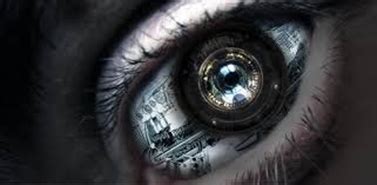 Cynthia Garbutt tweet media