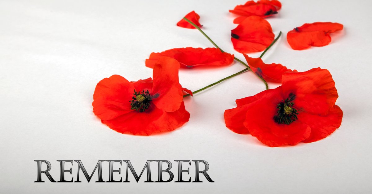 DraytekNetCda's tweet image. Remembering Those Who Bravely Fought For Our Freedom 🇨🇦