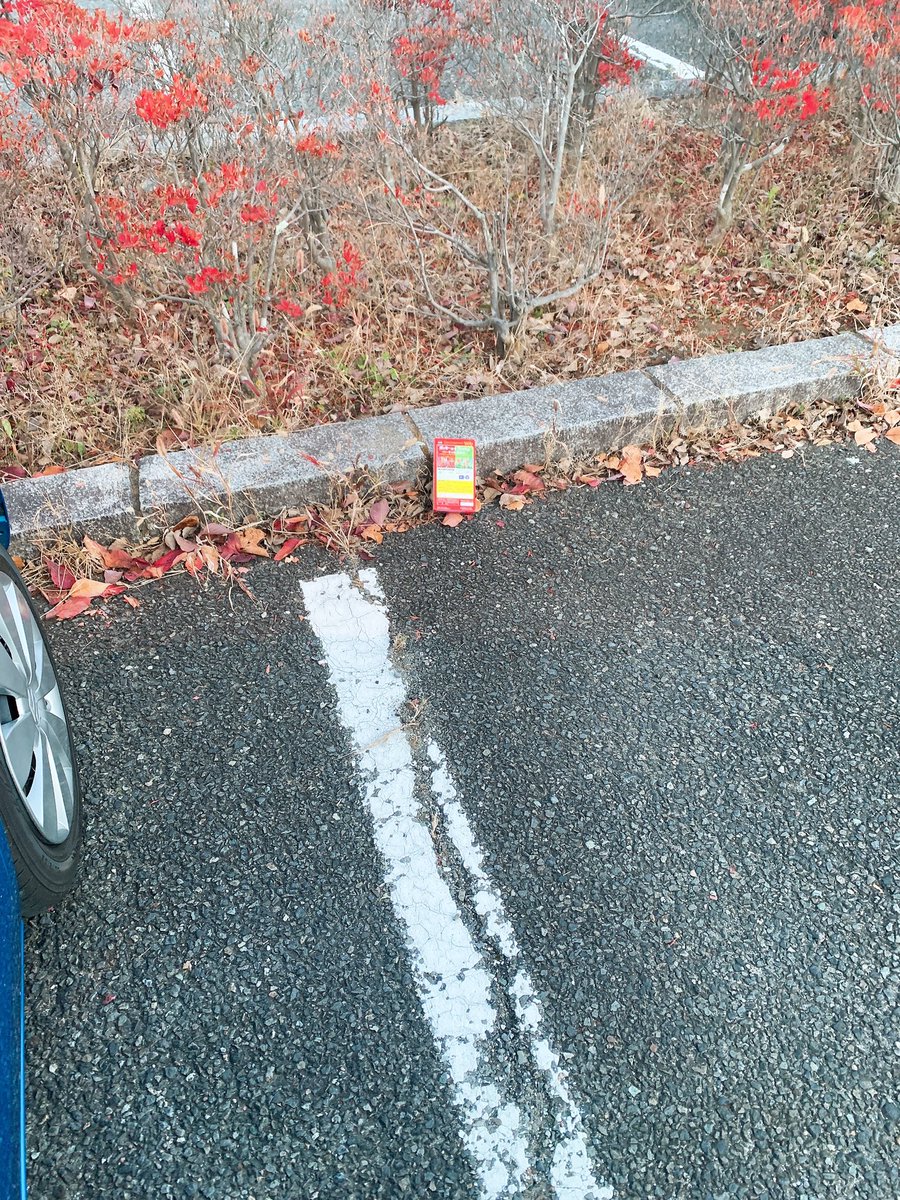 813110_asas's tweet photo. 仕事帰りにふと寄った公園で
車おりたらポッキー落ちてた。未開封。
11月11日だもんなぁ、楽しみにしてたんだろうなぁ。

…交番行くべきだったかなぁ。 https://t.co/7y6SRDpaaa