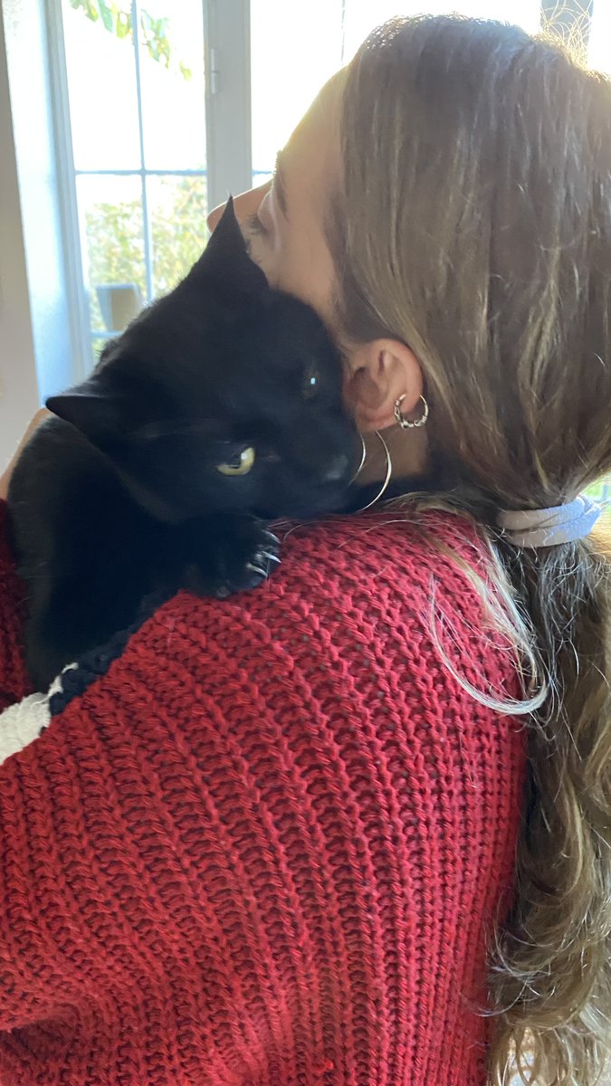LOESLIP's tweet photo. #felinostrescantos #TresCantos #sectorislas INCREIBLE, tengo que daros una fantastica noticia, mi gato NERU se perdio el día 21 de mayo, ha aparecido en Ciudad Lineal, nada menos, no se ya que pensar si alguien lo cogió y se lo llevo, le ha salido mal la jugada, SUPERVIVIENTE. https://t.co/VK1i3E1C6N