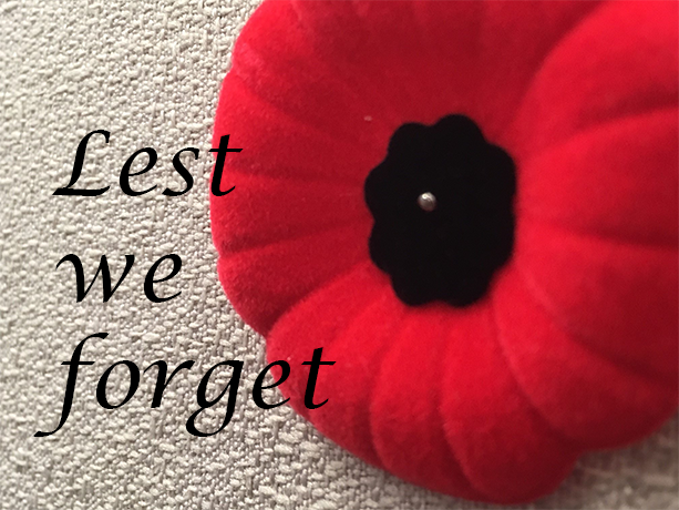 HealthNotHate's tweet photo. Lest we forget. 

#healthnothate #remembranceday https://t.co/us6f6cJ95A