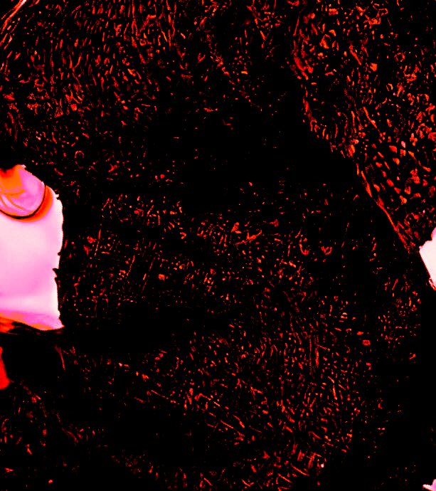 'Marisdara Comeback ka'  ลฟตท