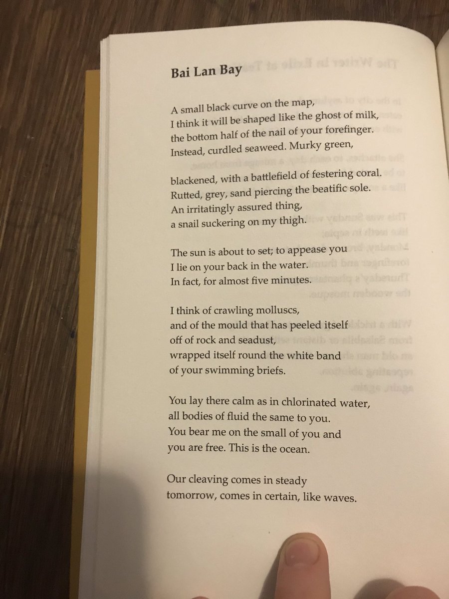 The force that is  @mailbykite