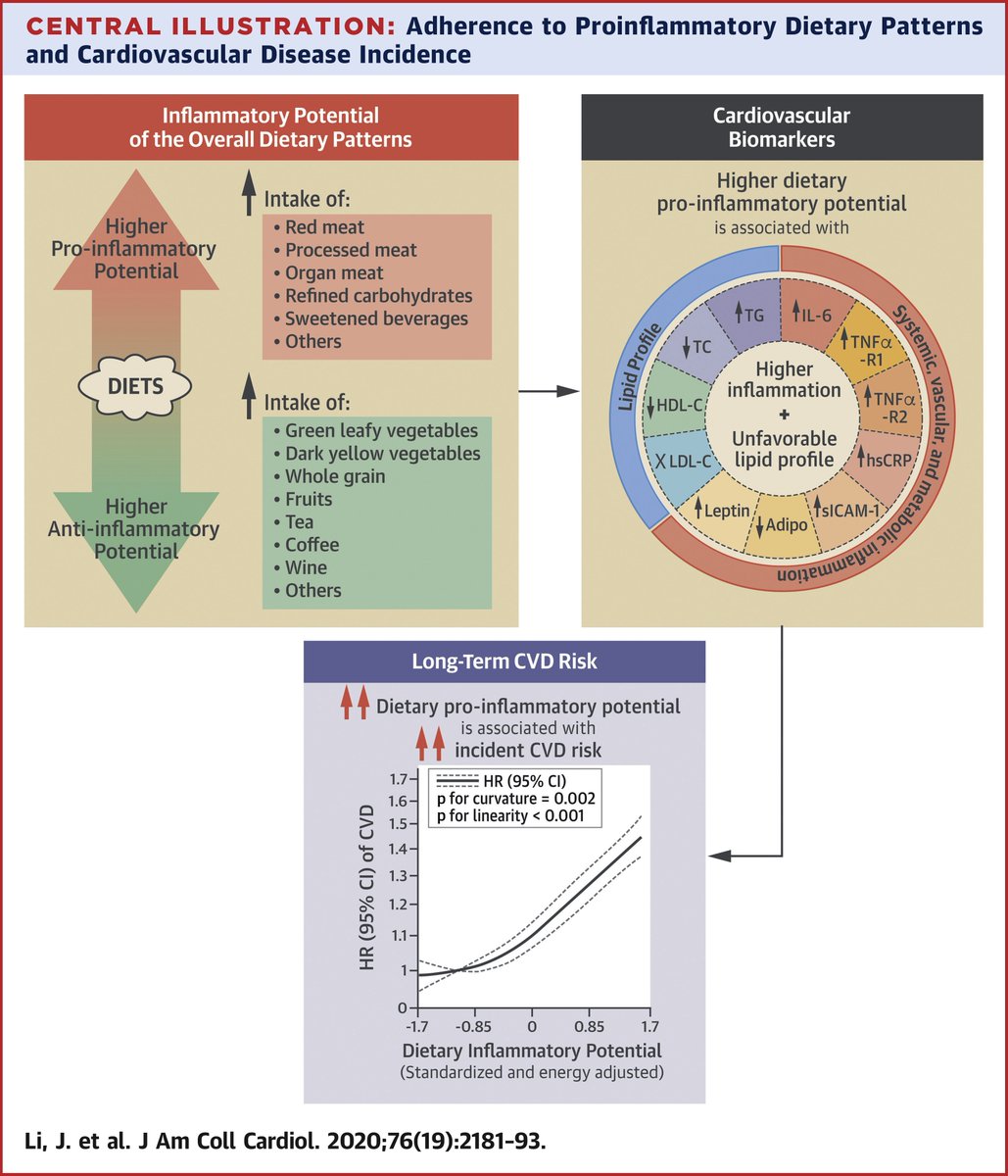 JACCJournals's tweet photo. Poor diets with higher proinflammatory effects may lead to higher #CVD risk according to a new #JACC study. https://t.co/LK7zS69ypJ https://t.co/ehj33a8wmN
