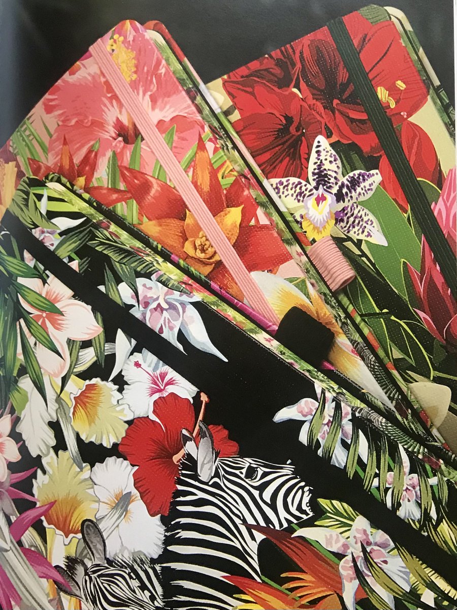 ShopPrices's tweet photo. Brand new amazing range in design @Castelli Milano notebooks available in Lined and Plain with beautiful Ivory  paper, numbered pages etc....order your via email. https://t.co/gVkgldQKFM