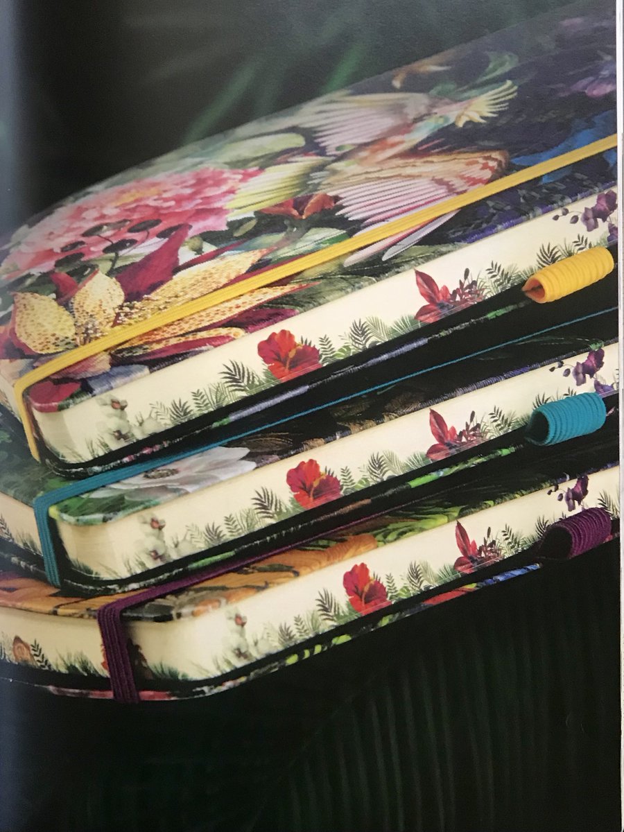 ShopPrices's tweet photo. Brand new amazing range in design @Castelli Milano notebooks available in Lined and Plain with beautiful Ivory  paper, numbered pages etc....order your via email. https://t.co/gVkgldQKFM