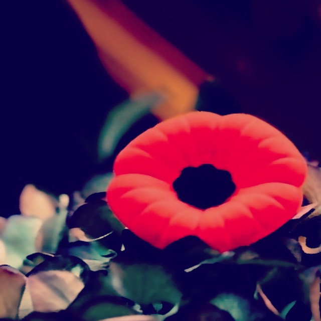 Novotel Toronto North York remembers and honours all of those who have made the ultimate sacrifice for Canadians and thank those who serve and continue to keep us safe. #LestWeForget #RemembranceDay #novotelto #keepussafe #CanadaRemembers #Canadians