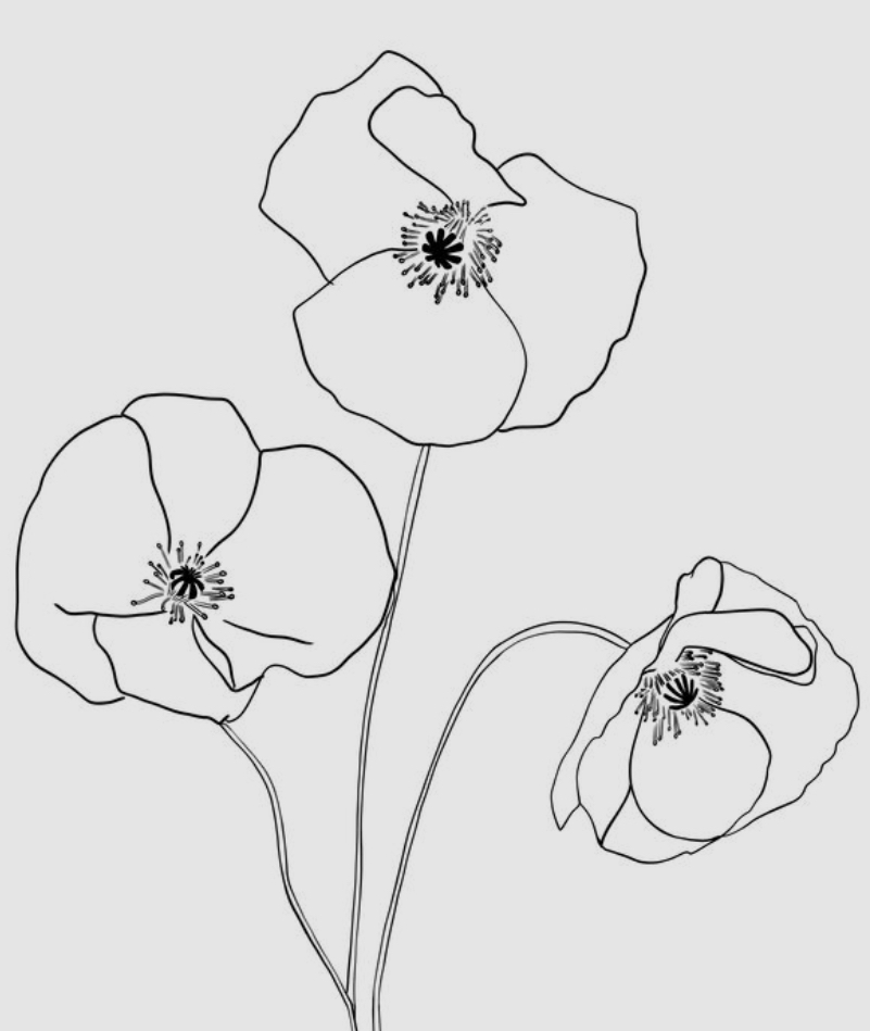 styledBurl's tweet photo. Always remember ❤️

#rememberanceday #canada #alwaysremember https://t.co/Jh9Dq3ydmT
