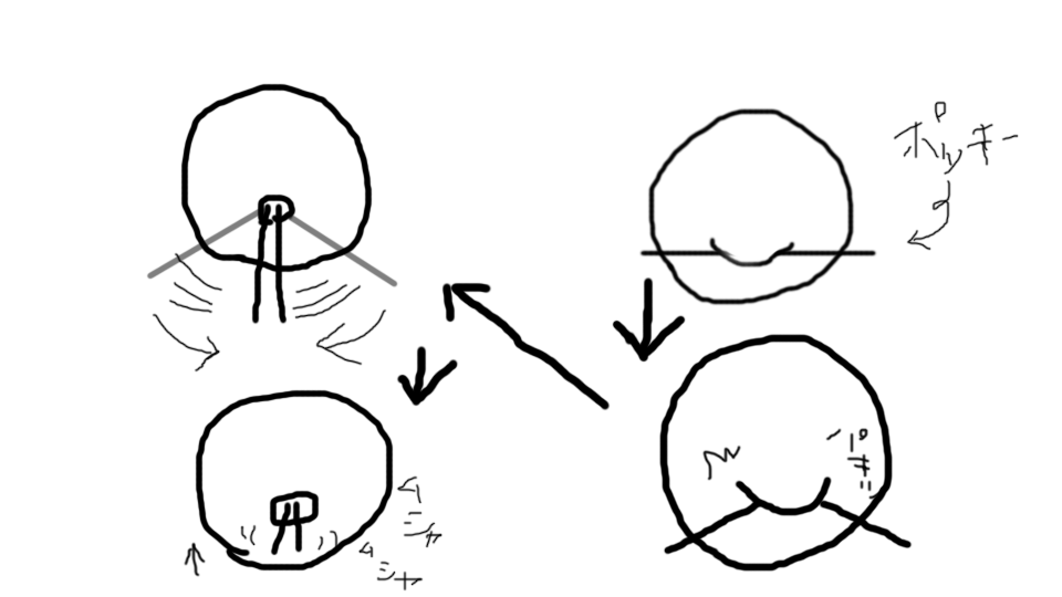 ホントにクソどうでもいい
しょうも無い事だけど、長年同じ人が居ないか
気になってた。
図にするとこんな感じ 