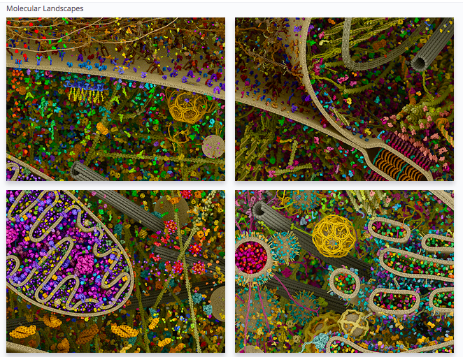 UpbmAsso's tweet photo. Des dizaine images magnifiques au cœur de la cellule
Elles sont classée par structures et fonctions
https://t.co/T4Z4OZO6b5 https://t.co/hbhZCd2kYy