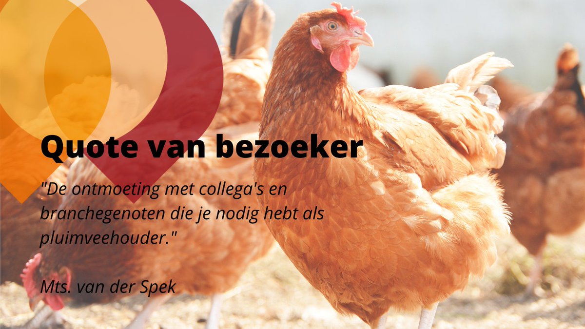De pluimveehouderij komt samen tijdens Dutch Poultry Expo. De ontmoeting met collega's en branchegenoten die je nodig hebt als pluimveehouder.
Quote van een bezoeker👇

dutchpoultryexpo.nl
📍 Evenementenhal Hardenberg