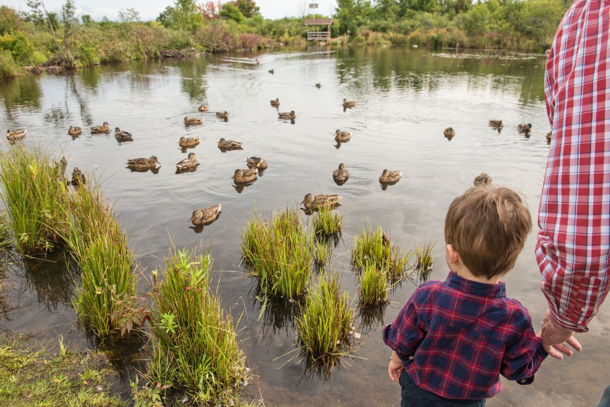 Keep the WILD in #WILDlife! Keep yourself and animals safe by ALWAYS keeping your distance and NEVER feeding wildlife.  #KeepWildlifeWild #Safety ow.ly/bMB130jH7n3