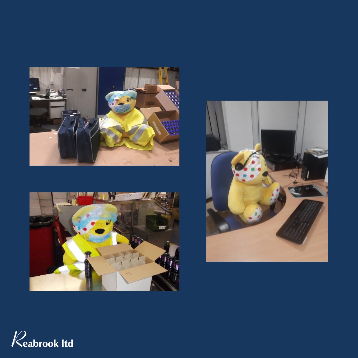 ReabrookLimited's tweet photo. Our new recruit has been hard at work during his time at Reabrook, helping out with Kitting, Quality Assurance and Sales! #Childreninneed #Charity #ukmanufacturing #Reabrookltd https://t.co/IsTway3AqB