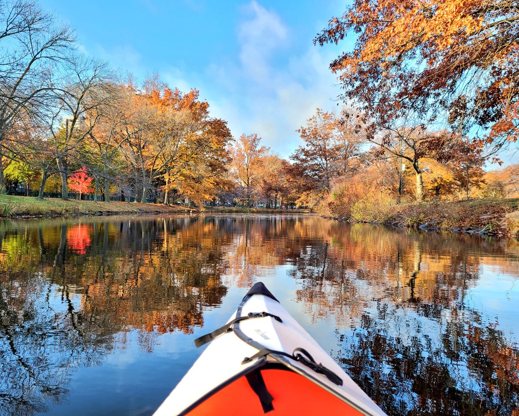 trishofthetrade everywhere tweet media