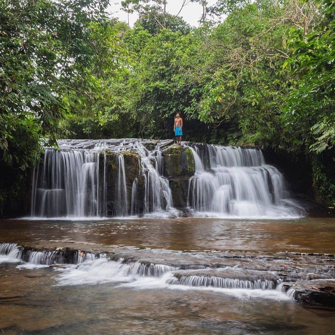 Liz Salazar 🇪🇨 tweet media