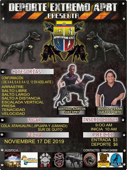 TEAFundacion's tweet photo. Año 2019...esto se llama explotación...Hay que sumar fuerzas para prohibirlo. El clamor de organizaciones es generalizado. BASTA YA! https://t.co/KIqijRRwei