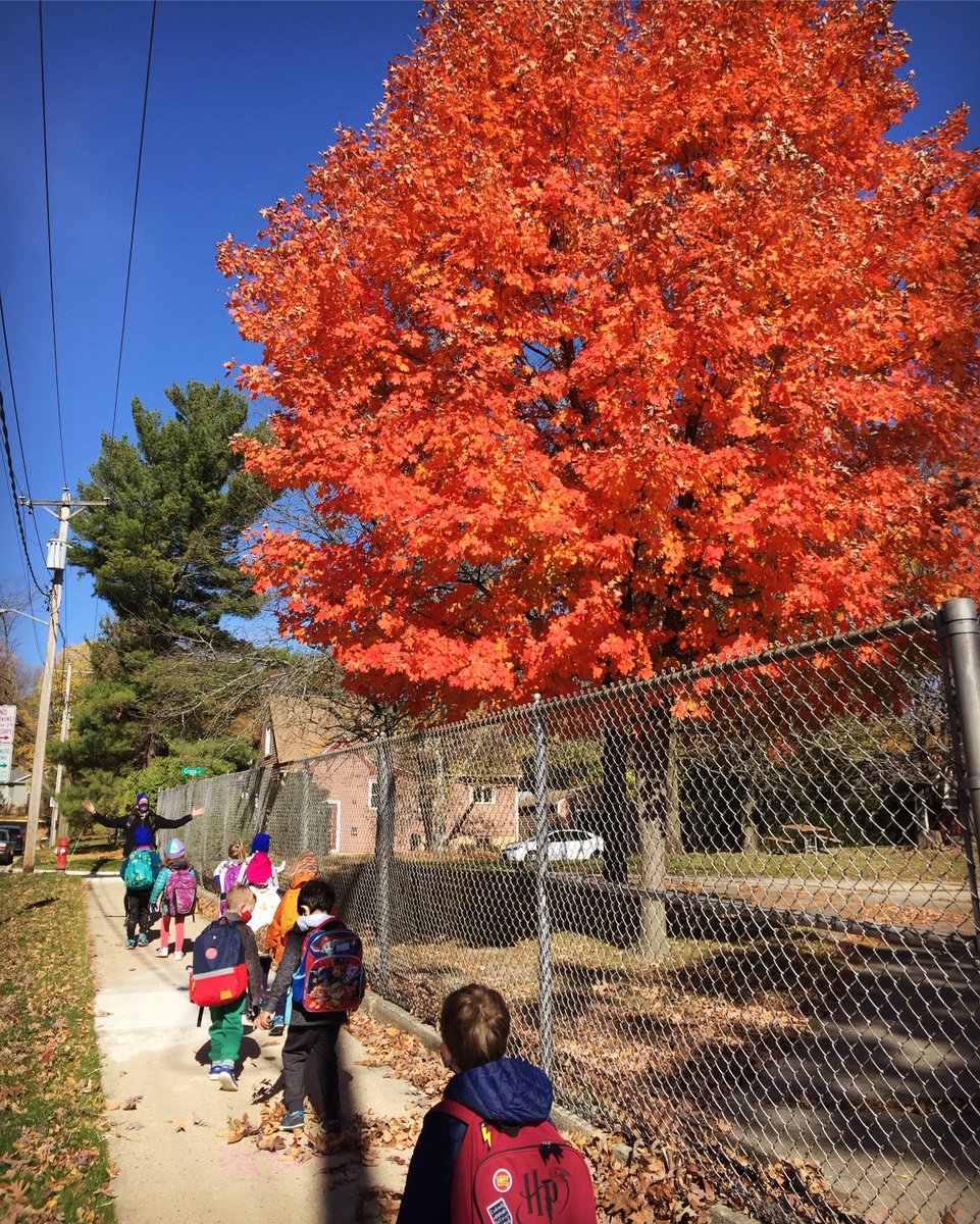 A friendly reminder that Wingra will be closed tomorrow and Friday for Fall Family-Teacher Conferences. We look forward to talking with all of you about the year so far!
