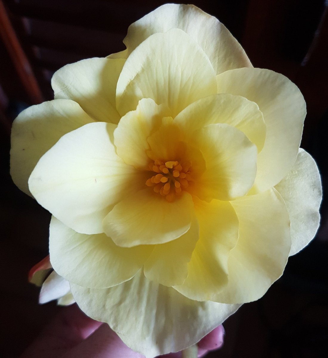 KarineHudry's tweet photo. Juste un moment de beauté gratuite.
#nature #partage #11Novembre2020 https://t.co/VhFRGm21VW