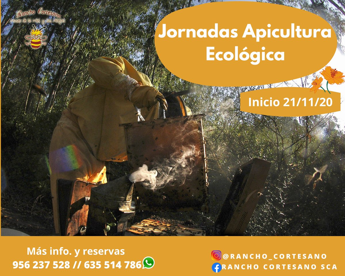 #apicultura #ecologia #naturaleza  #airelibre #Experiencia #enfamilia