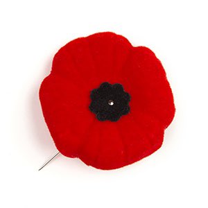 WomenThatGive1's tweet photo. We Remember. Thank you Vetrans. #LestWeForget #WeWillRememberThem #thankyou #veterans #honour #CanadaRemembers #womenthatgive #team https://t.co/u851QVVUVR