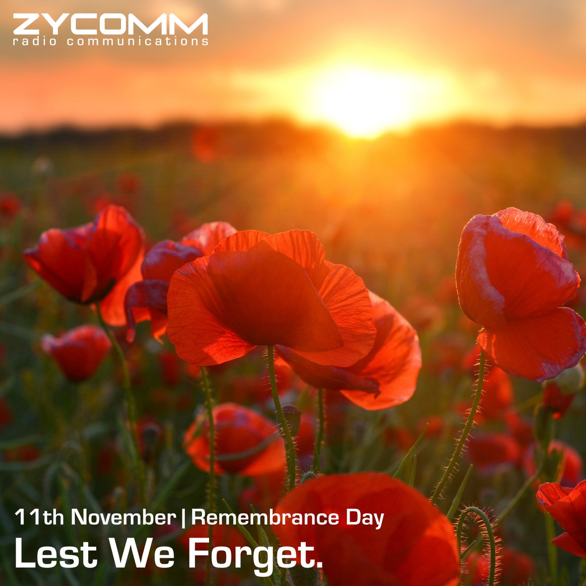 Zycomm's tweet photo. We will Remember Them 🌺

#ArmisticeDay #RemembranceDay #LestWeForget https://t.co/eeJpwi0x2s