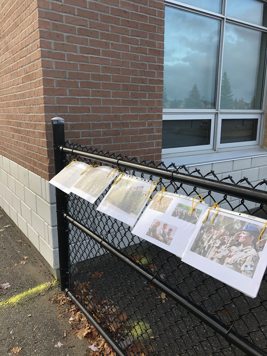 librarycps's tweet photo. Remembrance Day Learning Walk is up and ready for the classes to reflect and discuss. @PDSB_Libraries #WeWillRememberTheAll https://t.co/rIAOvJPcXw