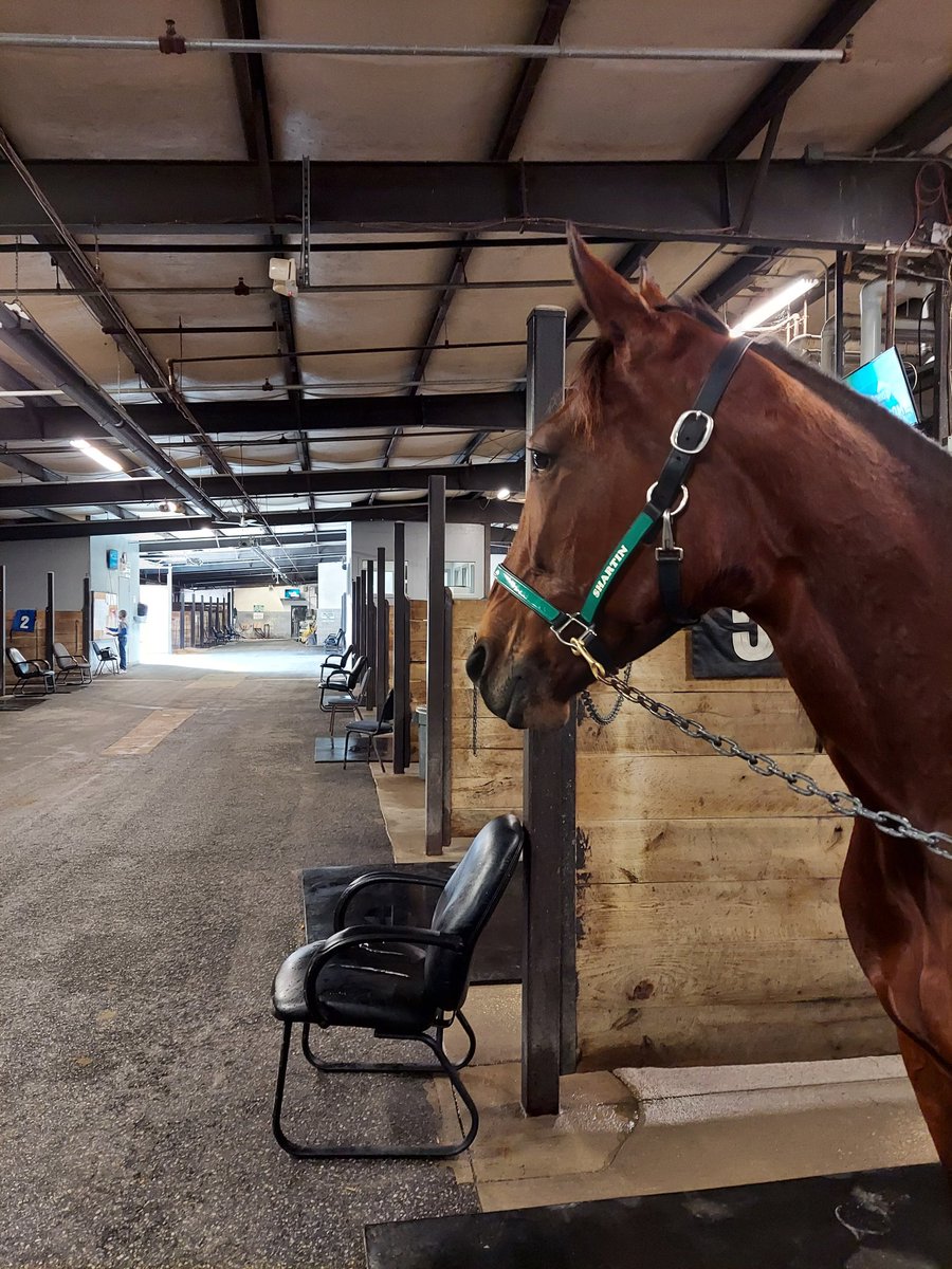 JoannKi32885615's tweet photo. When you travel with Jimmy King you can count on being early...but honestly the first ones in the paddock for qualifying races at Dover this morning ๐???
#ShartinN #PacingQueen ๐ https://t.co/fNxAKBFjxk
