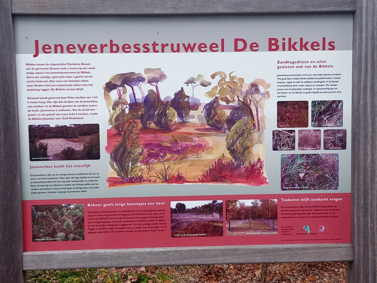 Mooi gebied