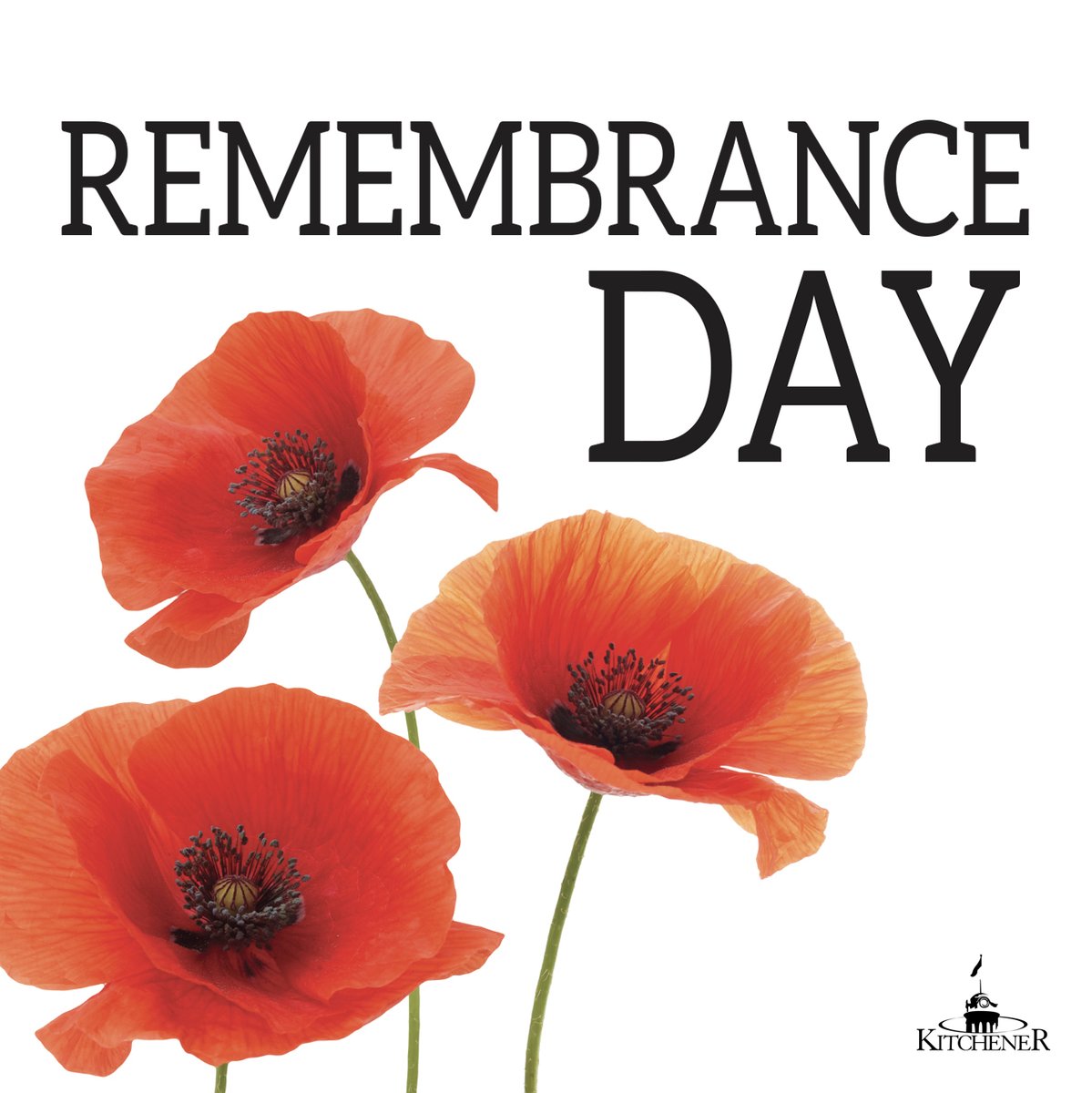 CityKitchener's tweet photo. #Kitchener remembers those who served &amp; made sacrifices for our freedom. We show we remember with a 2-min moment of silence at 11 a.m. 
Lest we forget.

#RemembranceDay https://t.co/W3UZMwlCYH