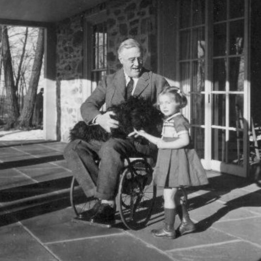 ThisAbility Hub tweet media