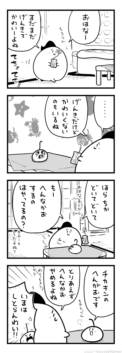 まいにちへんがおをみてるまちゅうら 