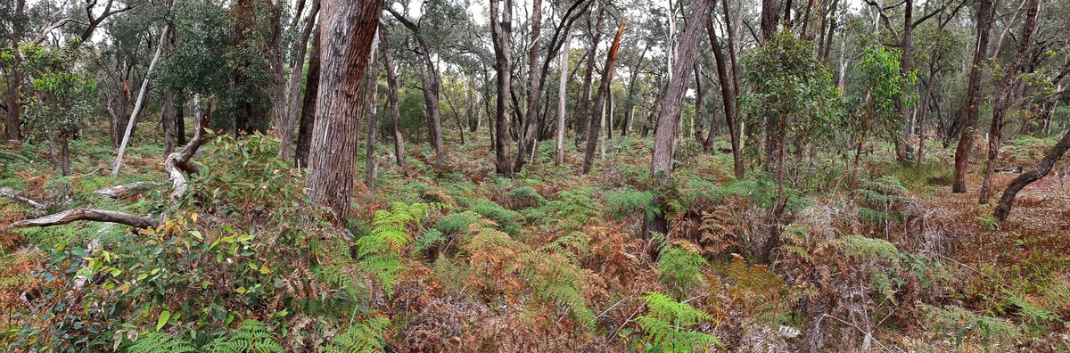 Mike_PHCC tweet media