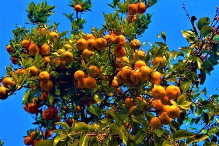 Tanahun sur को छविको परिणाम