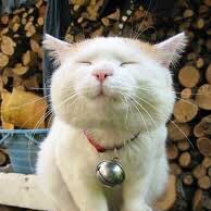 #新しいプロフィール画像