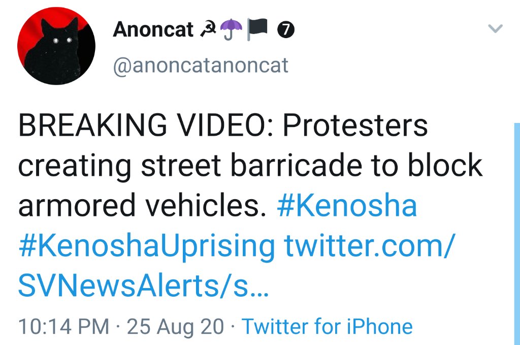 There were several coordinated 'Breaking News' accounts taken down by Twitter recently. 

-SVNewsAlerts
-Faytuks
-FJNewsReporter
etc

This 'AnonCat' was very much involved with that group.