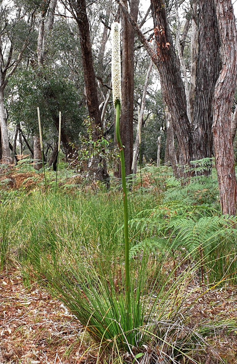 Mike_PHCC tweet media