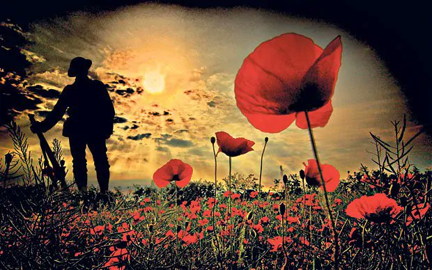 On the 11th hour of the 11th day of the 11th Month.  We Will Remember Them <a href="/ChicksandHens12/">Chicks and Hens MWC</a>