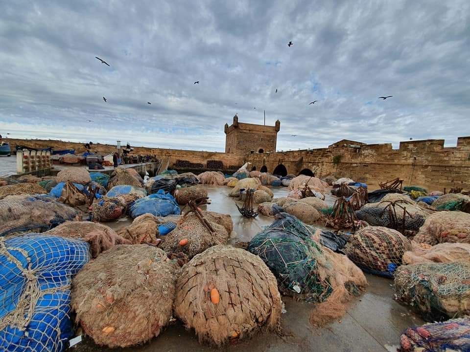 EssaouiraCalls's tweet photo. #Snapshots of the port of #Essaouira #Magestic and #Magical in #equalmeasure! https://t.co/EOGkLP8qjH